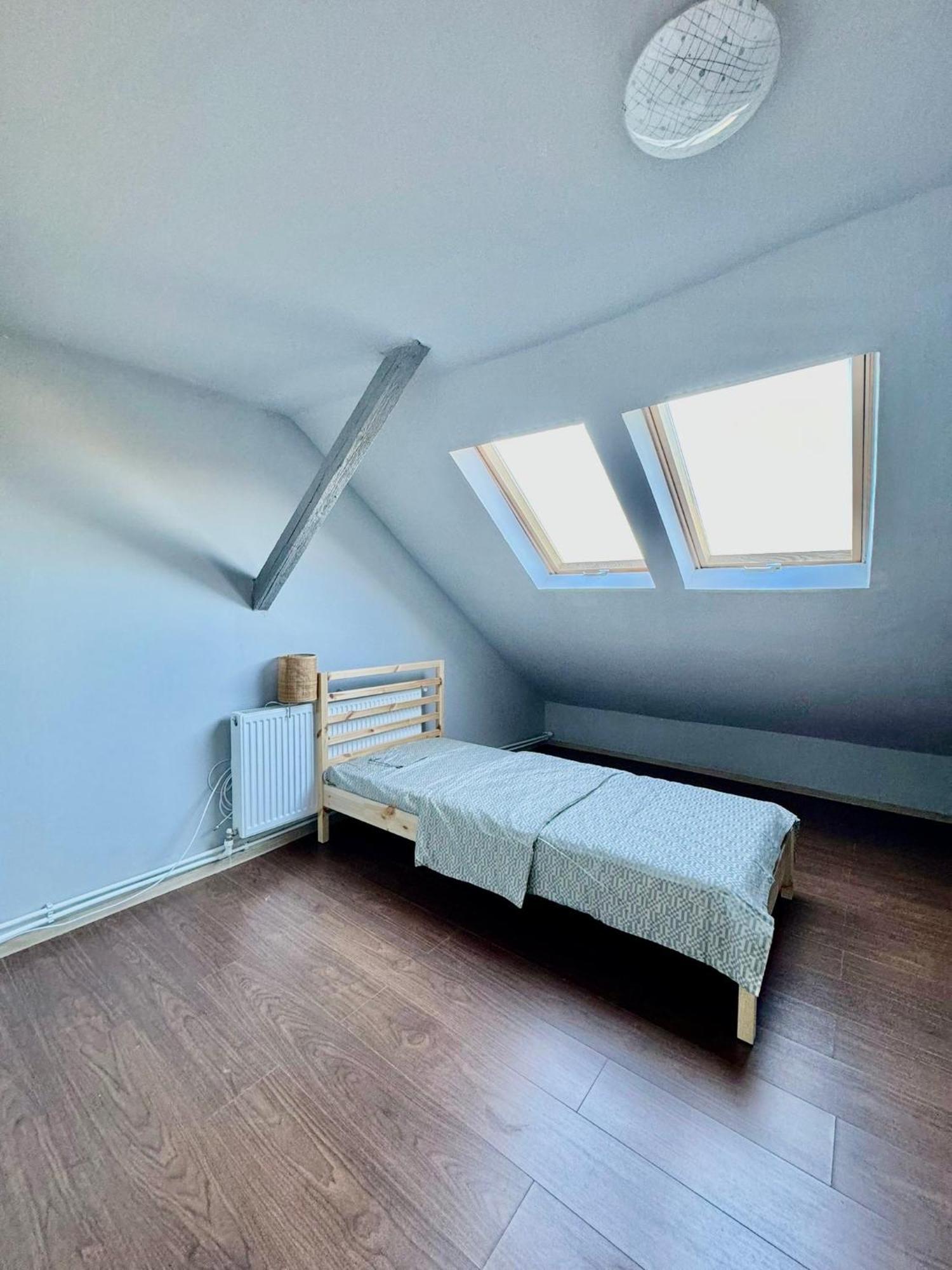 טימישוארה Serbian House מראה חיצוני תמונה